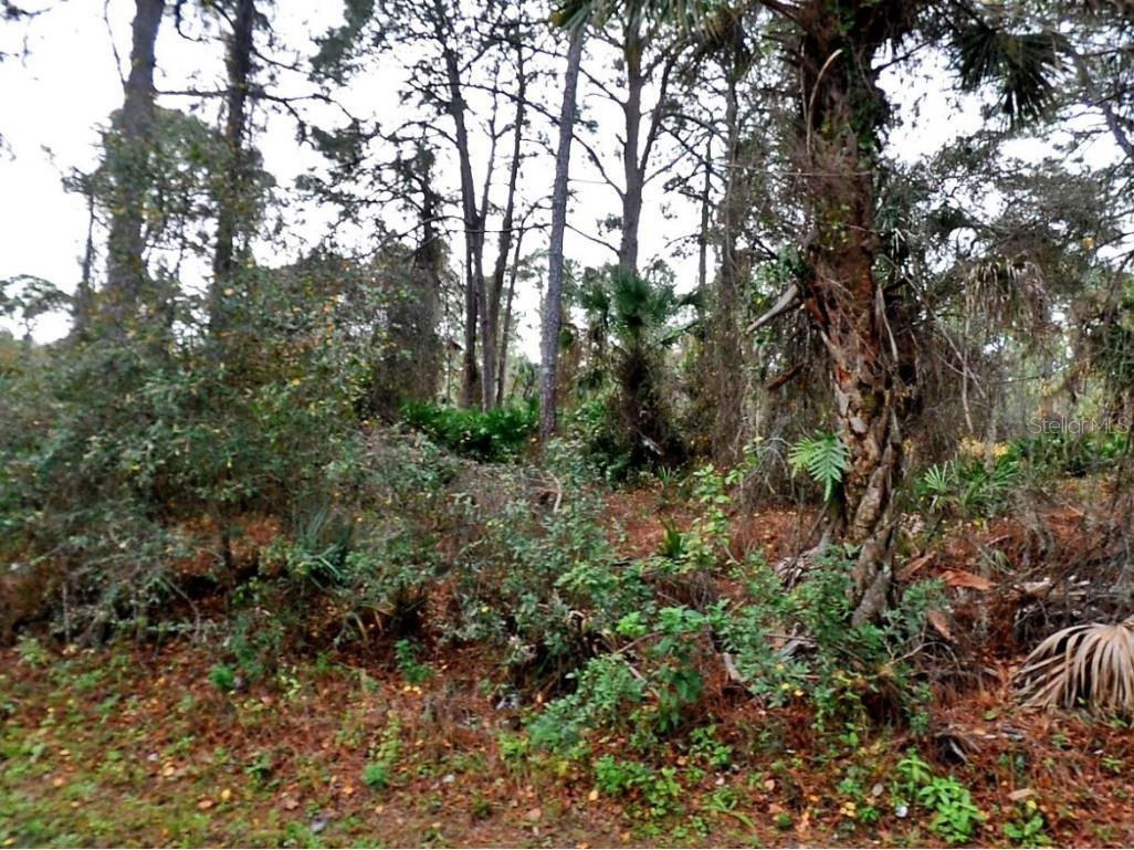 Lady Slipper Ave. North Port FL 34291 A4652462 image1