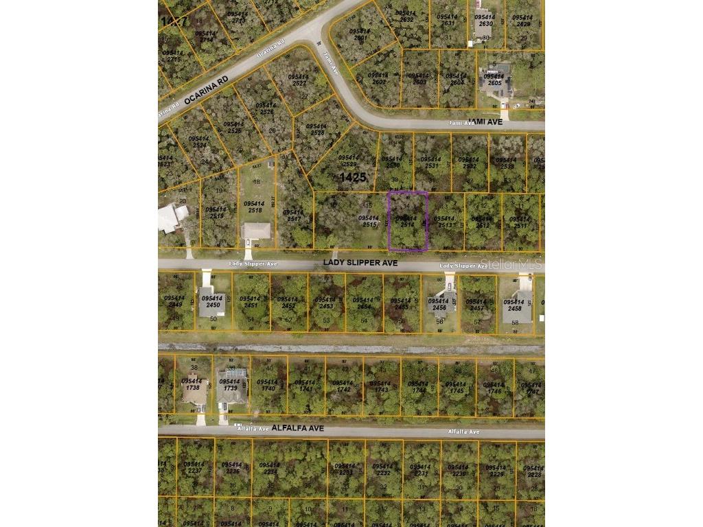 Lady Slipper Avenue North Port FL 34291 C7460956 image1