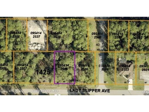 Lady Slipper Avenue North Port FL 34291 C7472904 image1