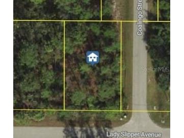 Lady Slipper Avenue North Port FL 34291 A4662485 image1