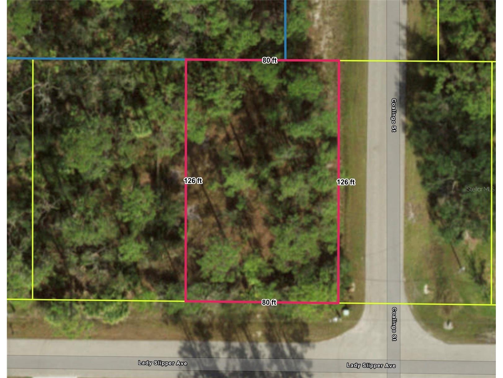 Lady Slipper Avenue North Port FL 34291 A4699360 image1