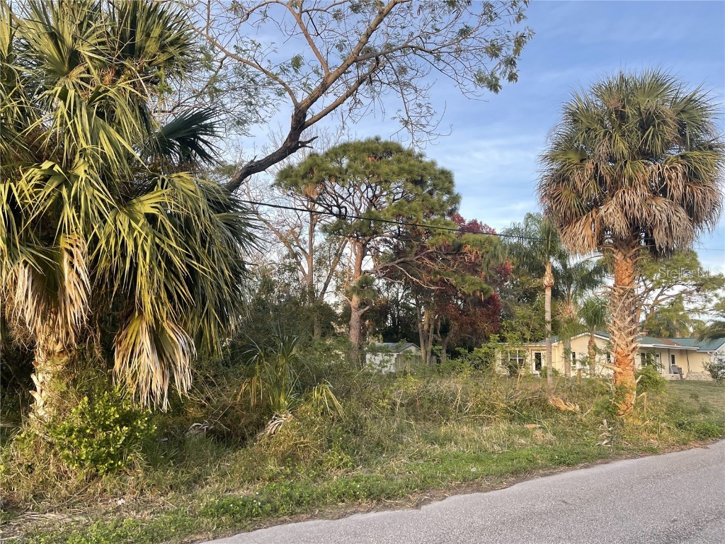 Lafitte Drive Hudson FL 34667 U8227183 image1