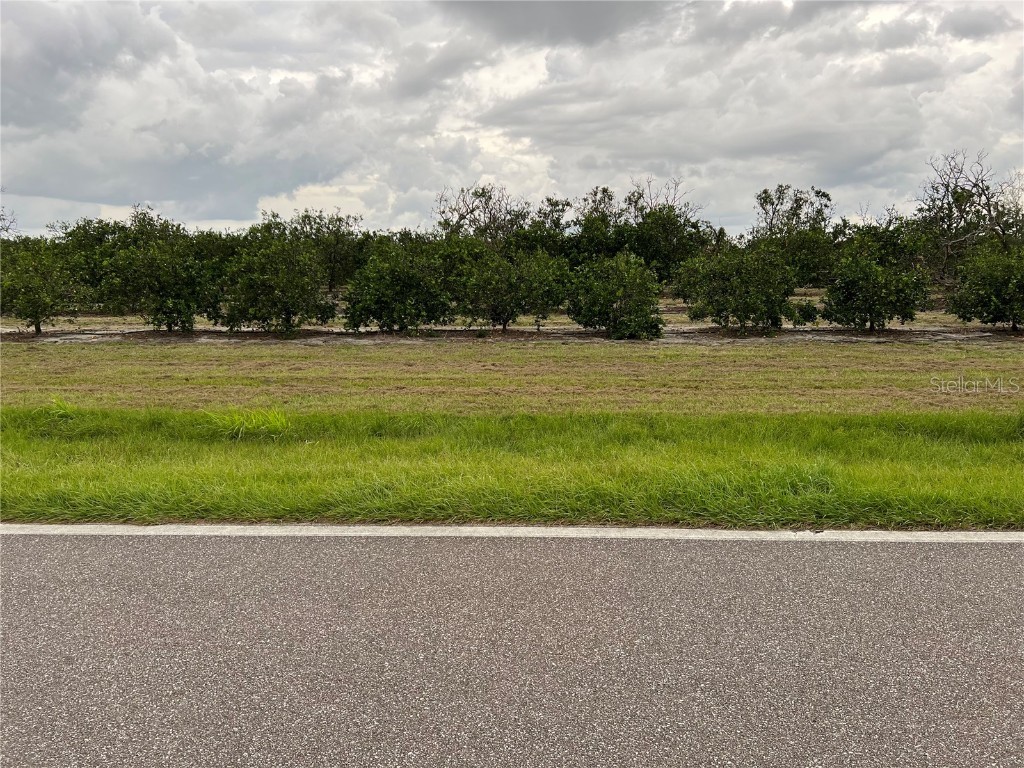 Lake Buffum Road S Fort Meade FL 33841 L4933358 image1