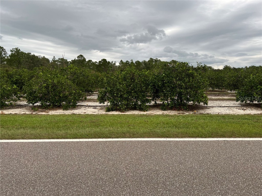 Lake Buffum Road S Fort Meade FL 33841 L4933360 image1