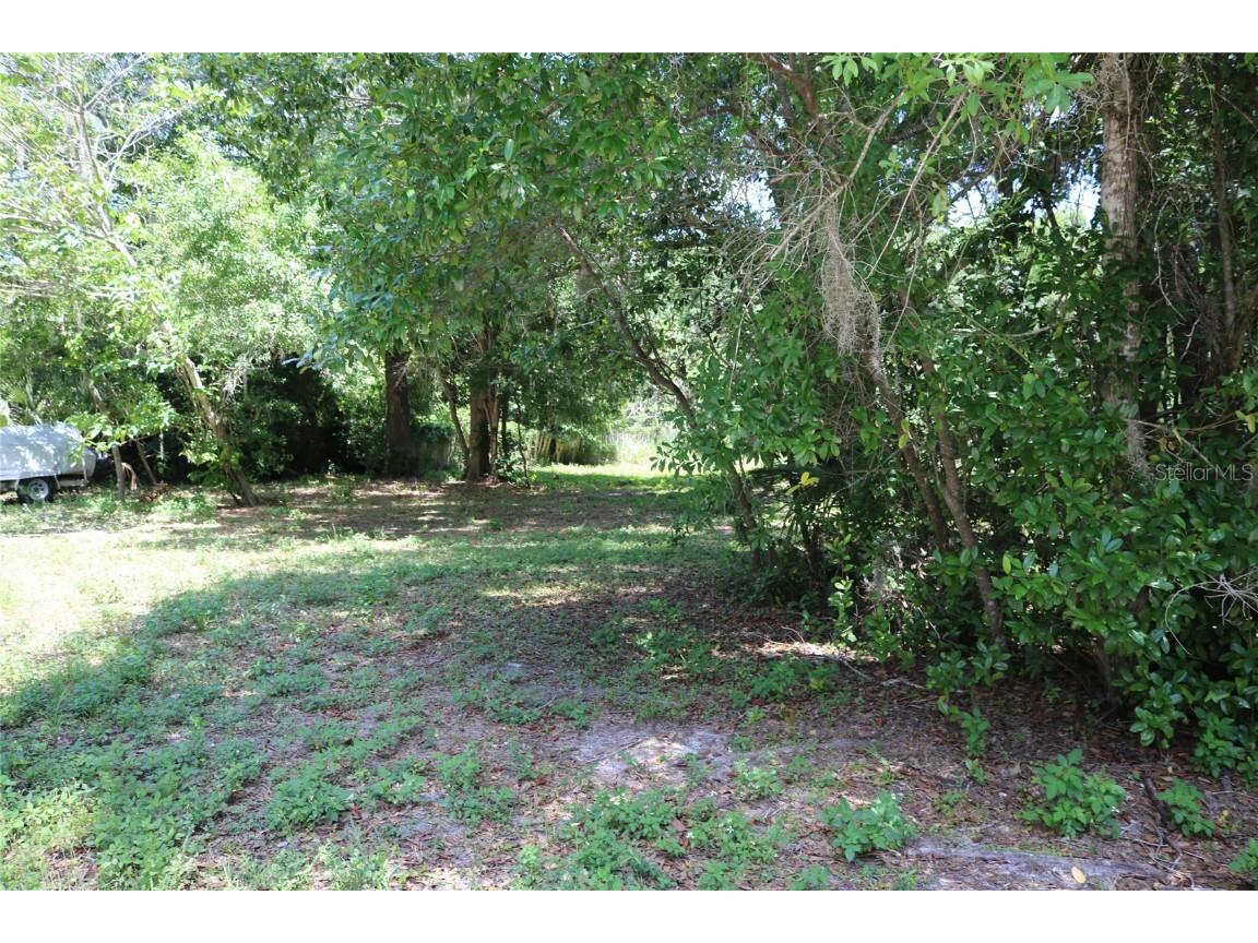 Lake Como Drive Lutz FL 33558 - Moss Lake T3303664 image1