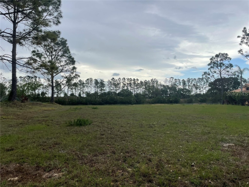 Lake Denise Boulevard Clermont FL 34711 O6294061 image10