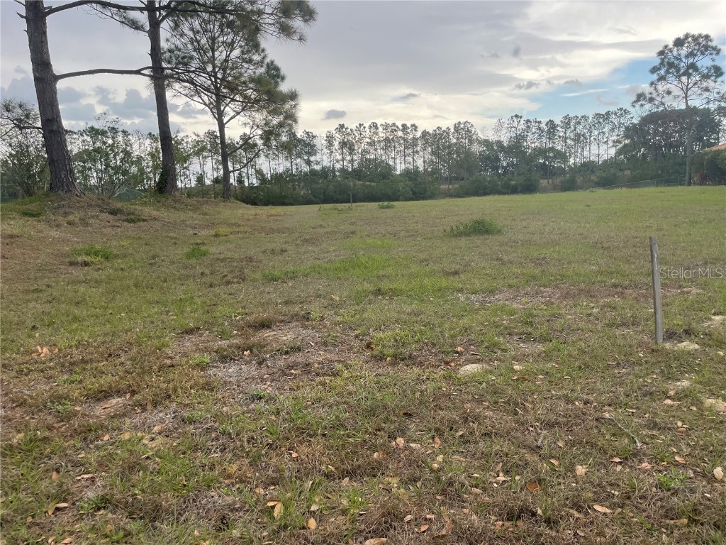 Lake Denise Boulevard Clermont FL 34711 O6294061 image11