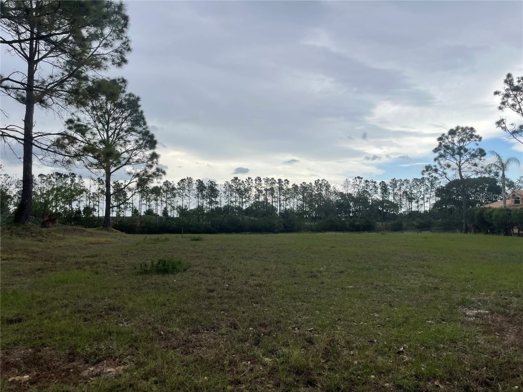 Lake Denise Boulevard Clermont FL 34711 O6294061 image13