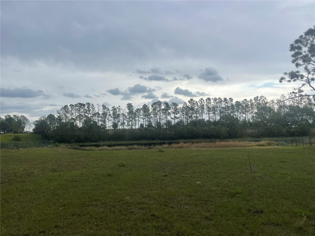 Lake Denise Boulevard Clermont FL 34711 O6294061 image14