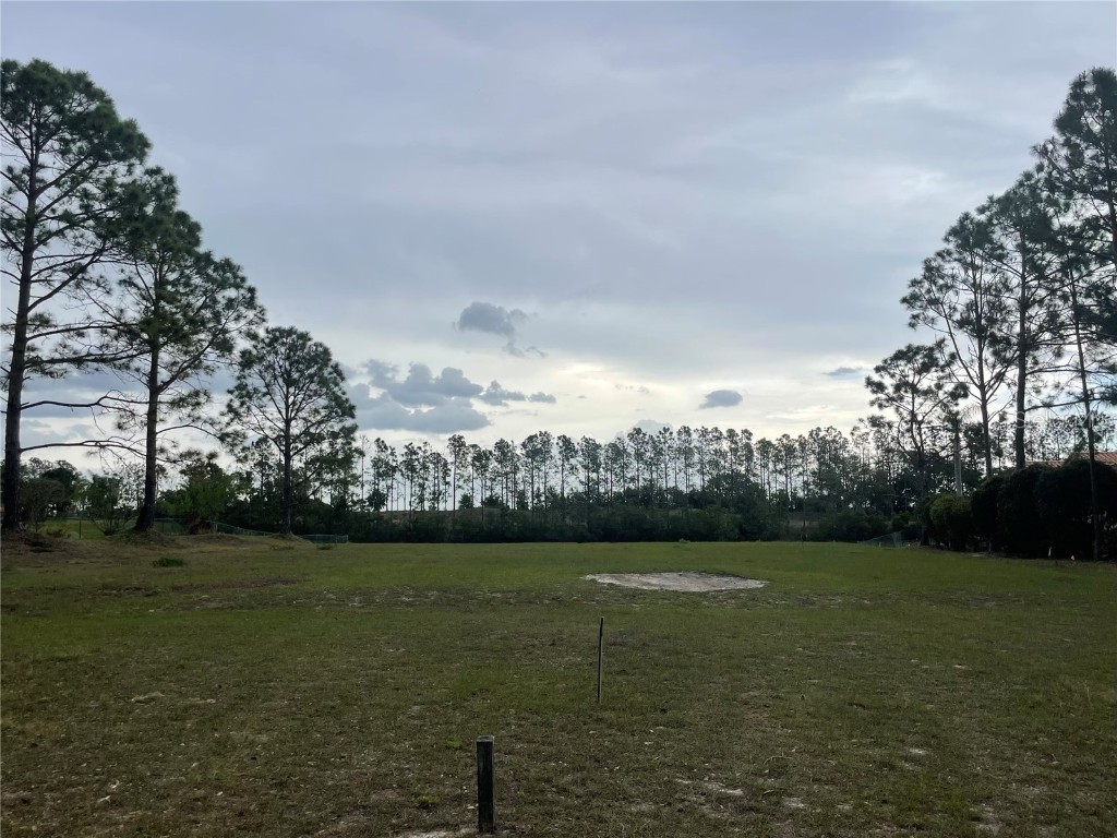 Lake Denise Boulevard Clermont FL 34711 O6294061 image16