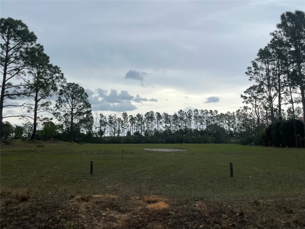 Lake Denise Boulevard Clermont FL 34711 O6294061 image17