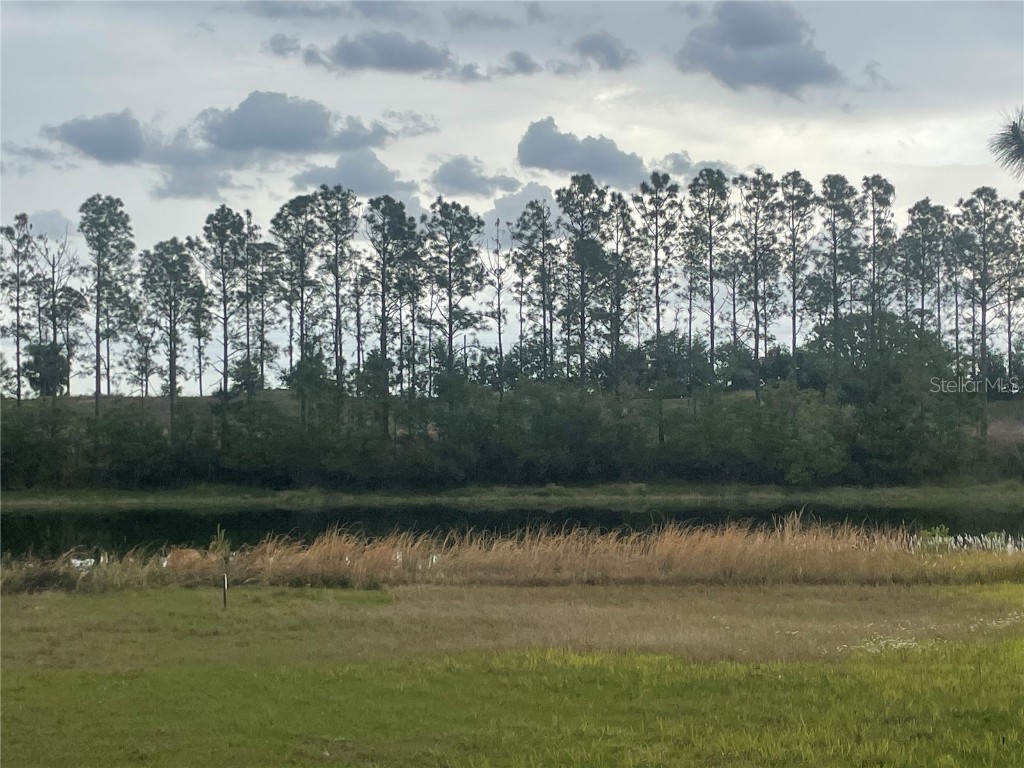 Lake Denise Boulevard Clermont FL 34711 O6294061 image2