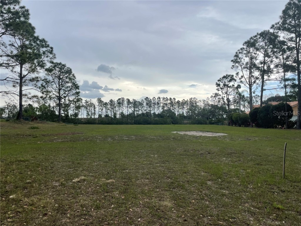 Lake Denise Boulevard Clermont FL 34711 O6294061 image4