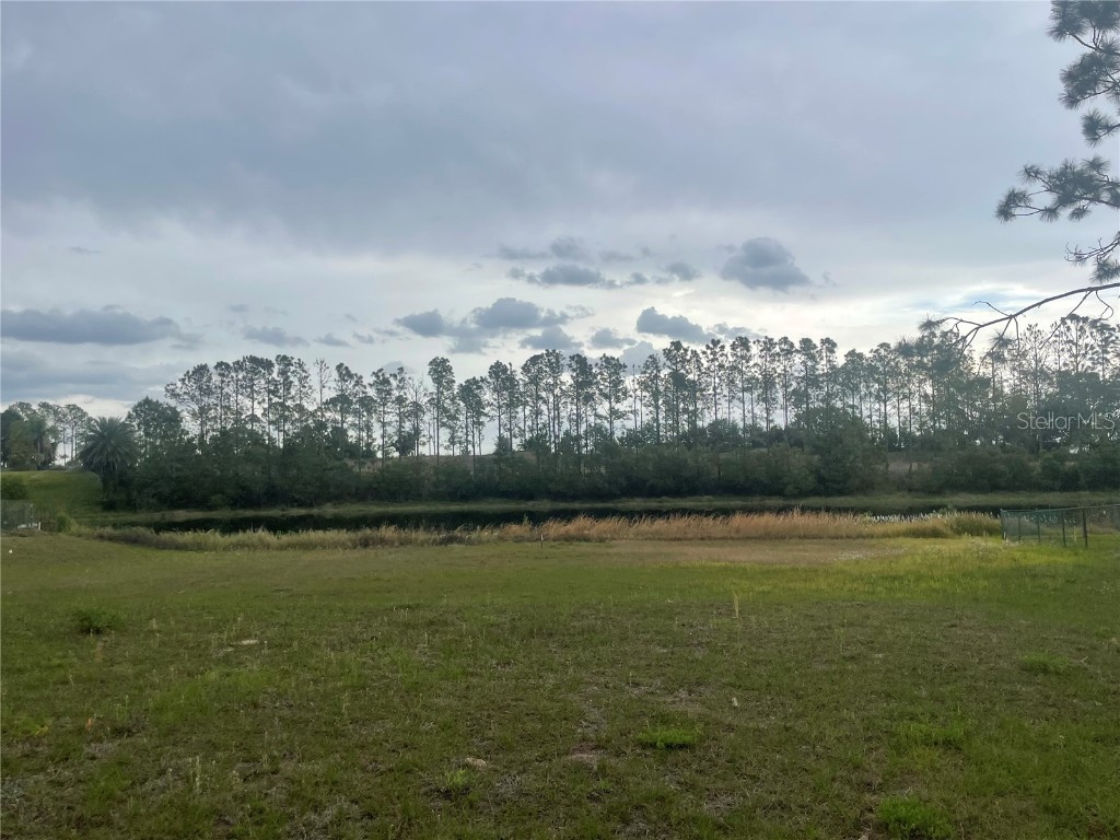 Lake Denise Boulevard Clermont FL 34711 O6294061 image5