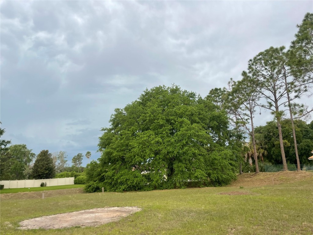 Lake Denise Boulevard Clermont FL 34711 O6294061 image6