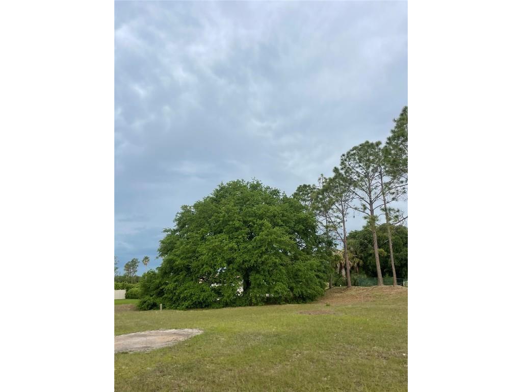 Lake Denise Boulevard Clermont FL 34711 O6294061 image7