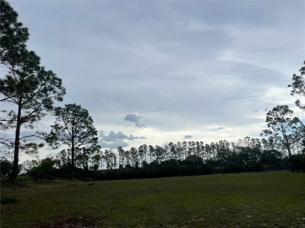 Lake Denise Boulevard Clermont FL 34711 O6294061 image8