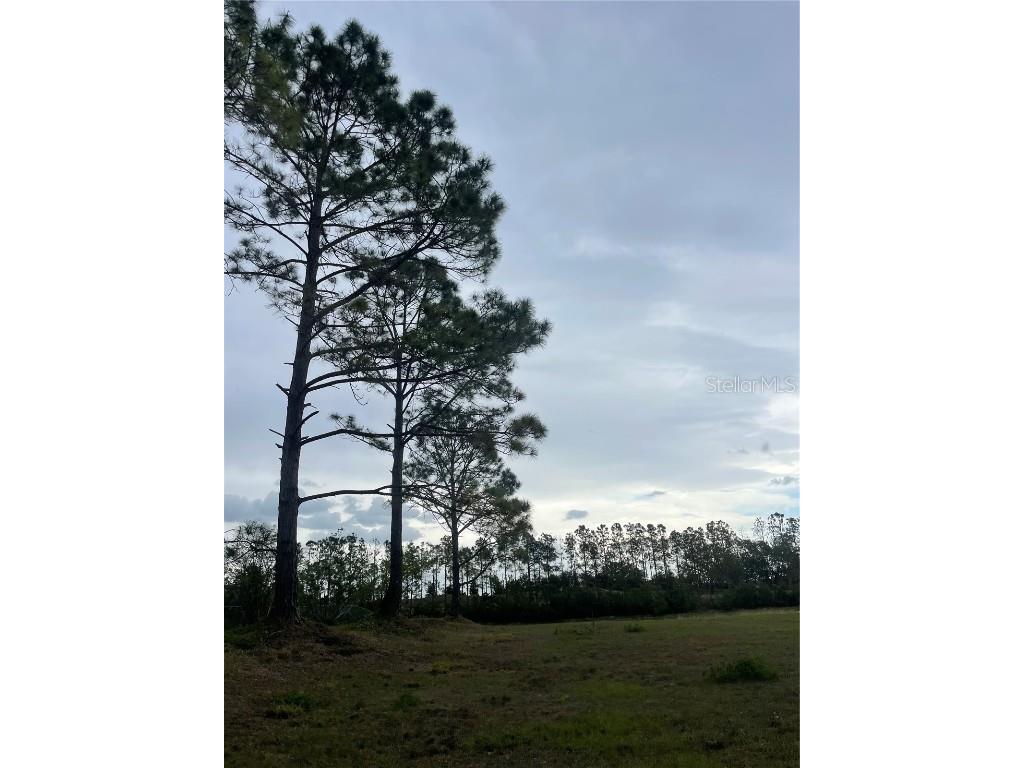 Lake Denise Boulevard Clermont FL 34711 O6294061 image9