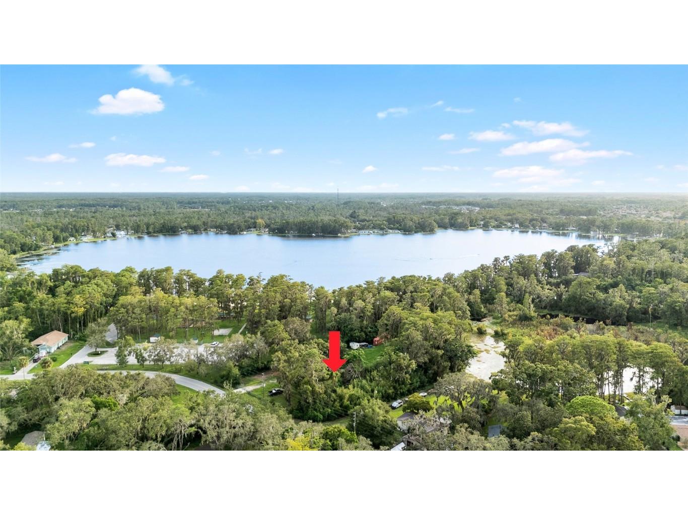 Lake Drive New Port Richey FL 34654 TB8424539 image4