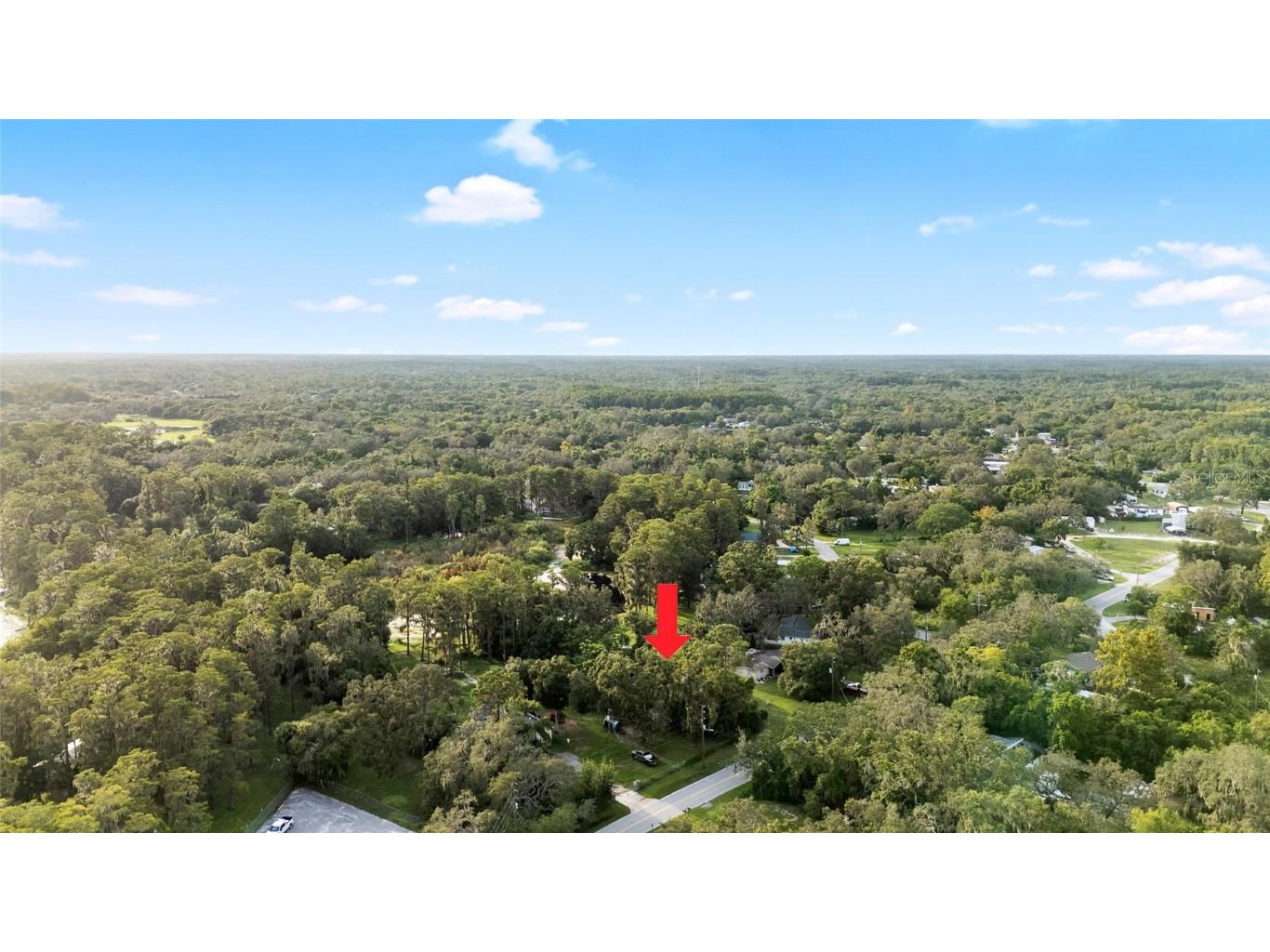 Lake Drive New Port Richey FL 34654 TB8424539 image8