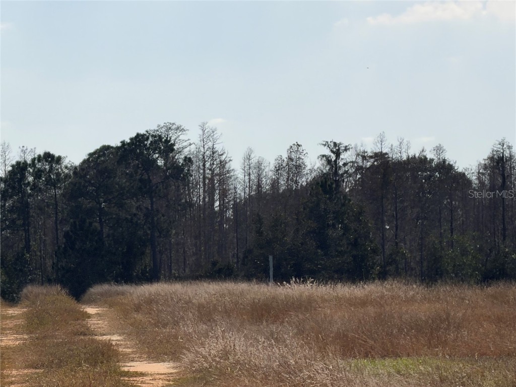 Lake Erie Groveland FL 34736 G5106382 image5