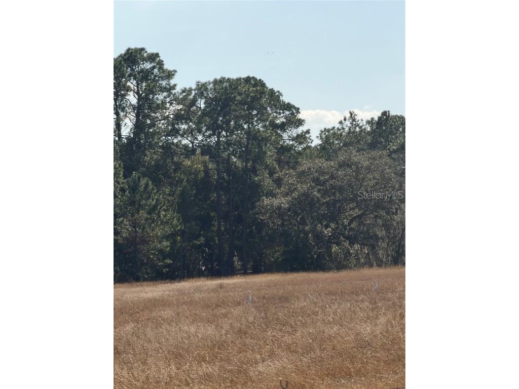 Lake Erie Groveland FL 34736 G5106384 image2