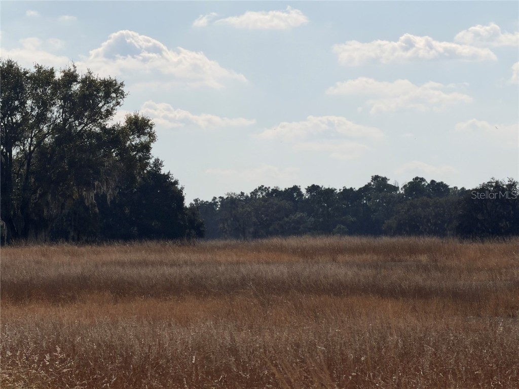 Lake Erie Road Groveland FL 34736 G5106385 image4