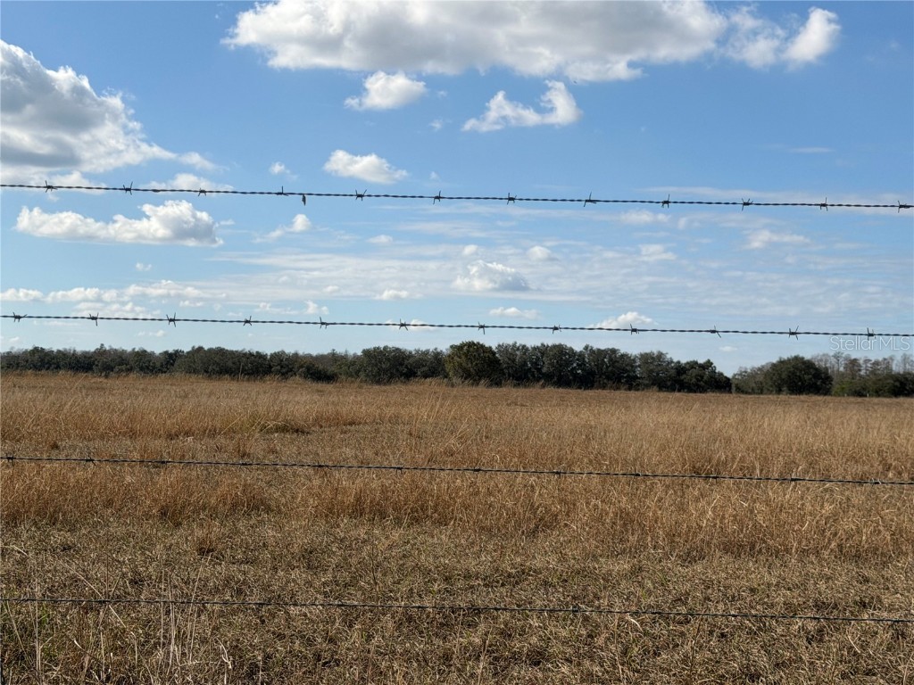 Lake Erie Road Groveland FL 34736 G5106385 image6