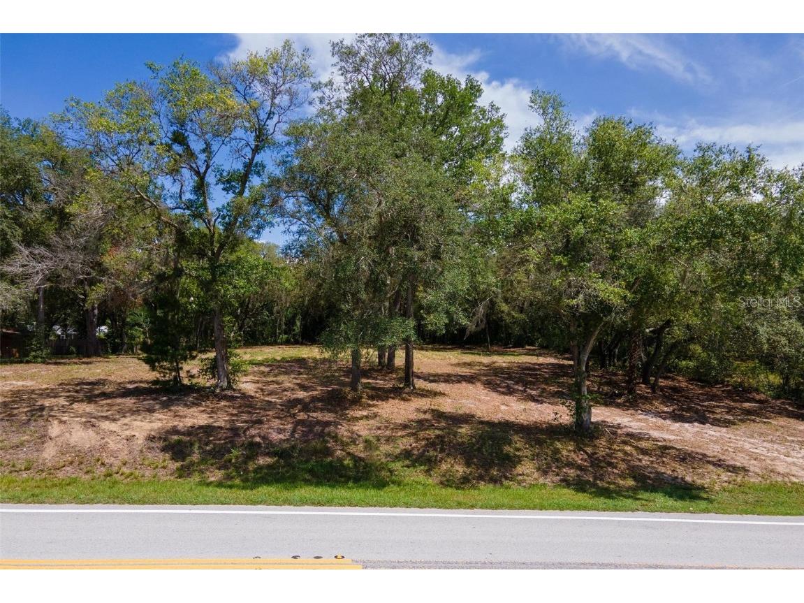 Lake Griffin Road Lady Lake FL 32159 G5062137 image1