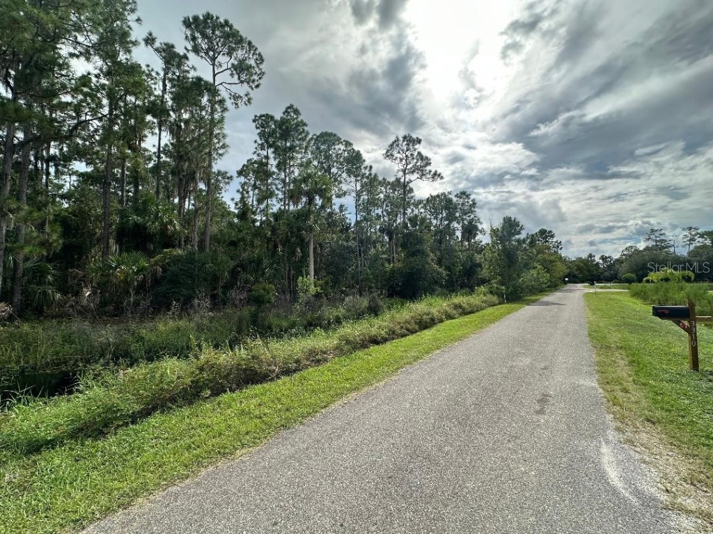 Lake Harney Circle Geneva FL 32732 - LAKE HARNEY V4938585 image2