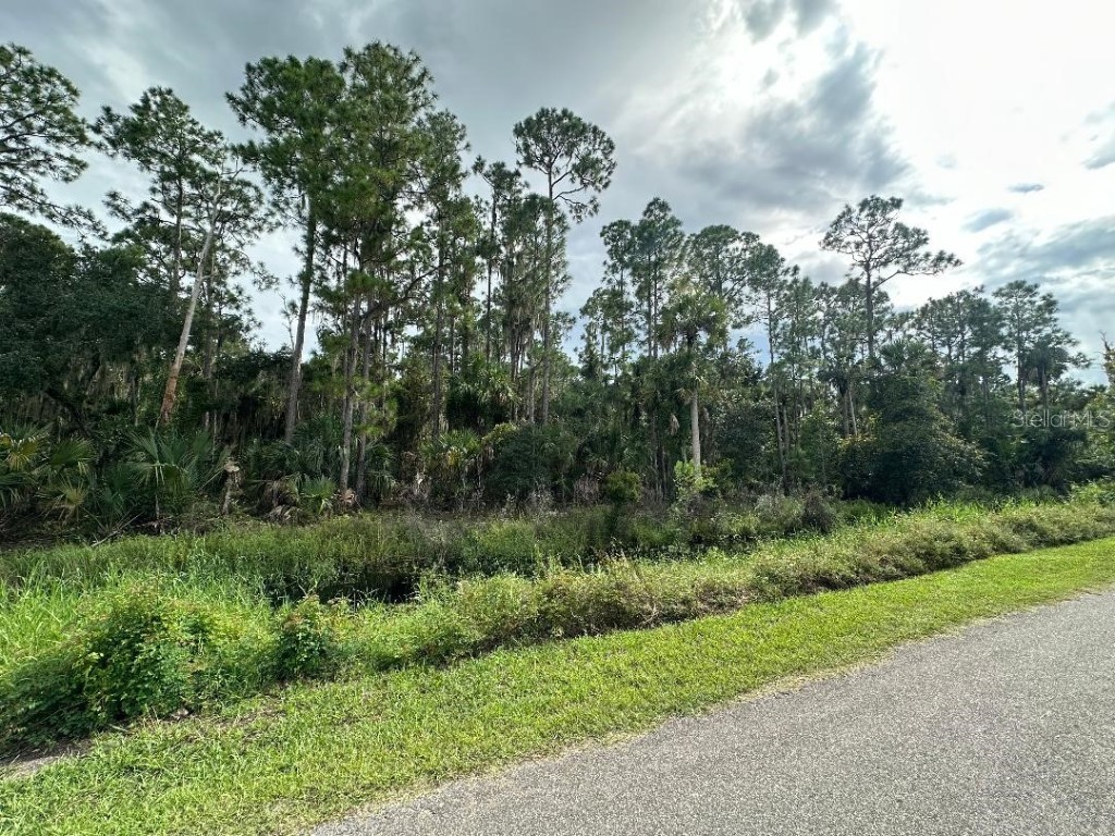 Lake Harney Circle Geneva FL 32732 - LAKE HARNEY V4938585 image4