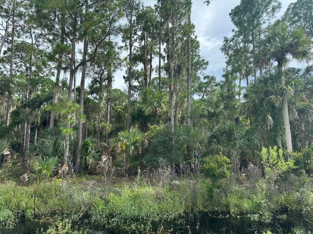 Lake Harney Circle Geneva FL 32732 - LAKE HARNEY V4938585 image5