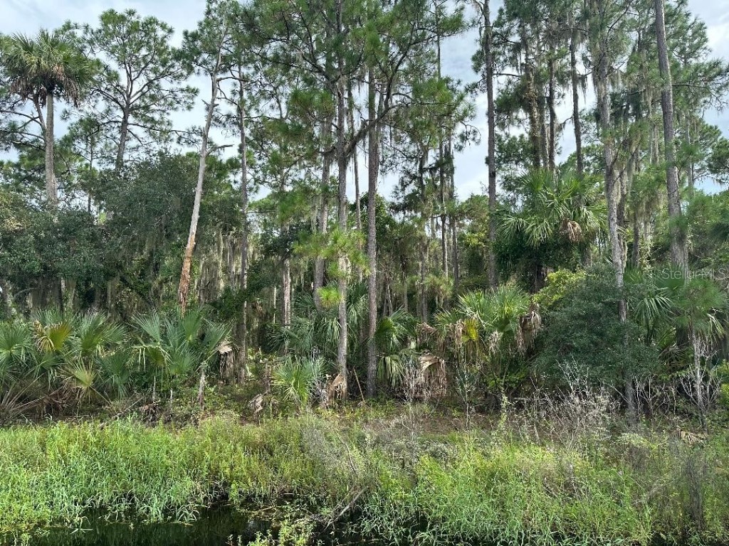 Lake Harney Circle Geneva FL 32732 - LAKE HARNEY V4938585 image6