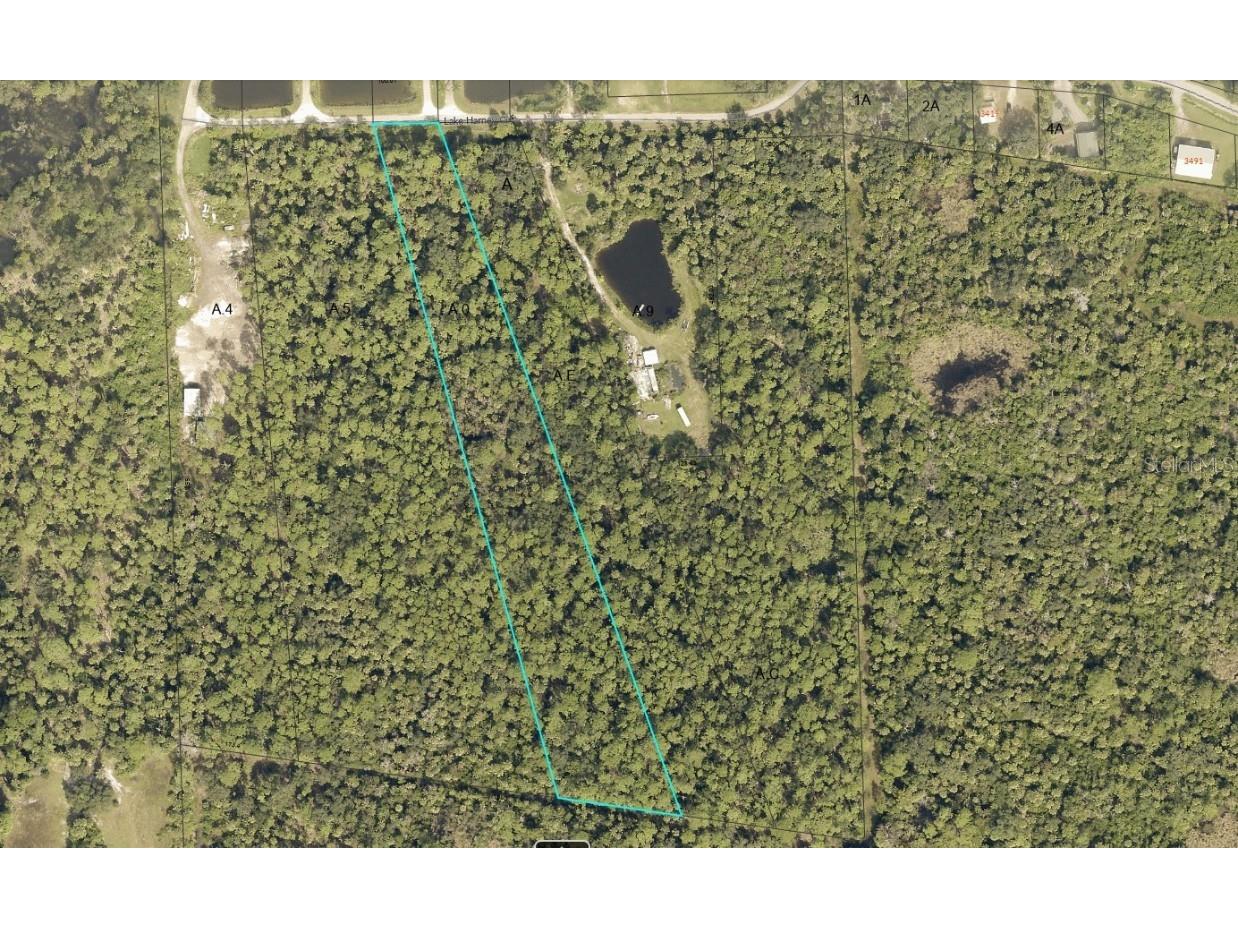 Lake Harney Circle Geneva FL 32732 - LAKE HARNEY V4938585 image7