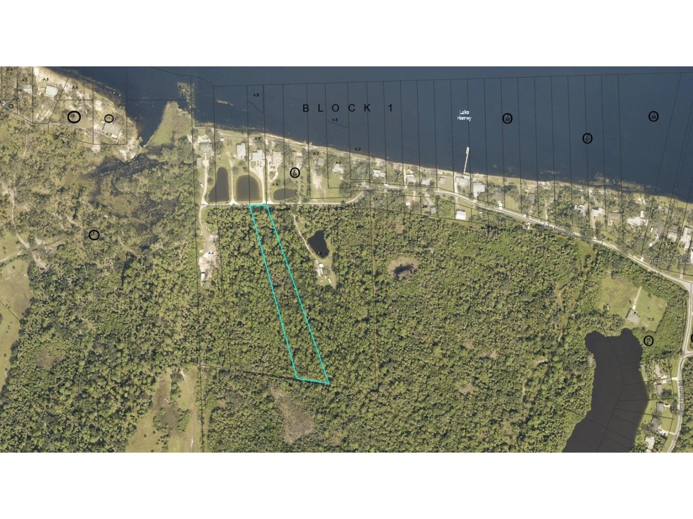 Lake Harney Circle Geneva FL 32732 - LAKE HARNEY V4938585 image8