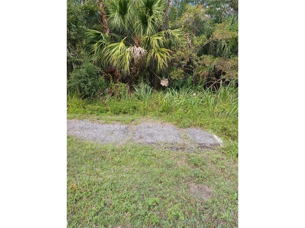 Lake Harney Road Geneva FL 32732 V4945625 image1