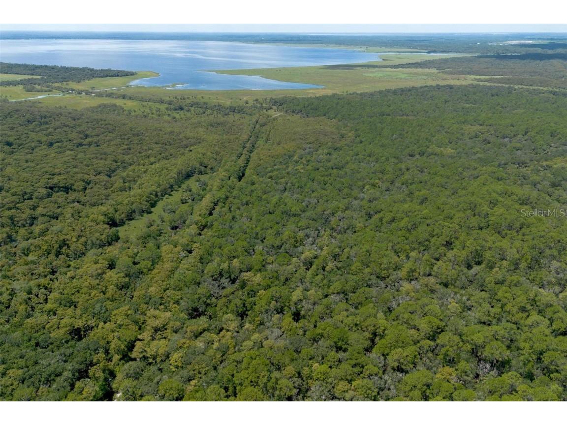 Lake Harney Road Osteen FL 32764 V4937942 image1