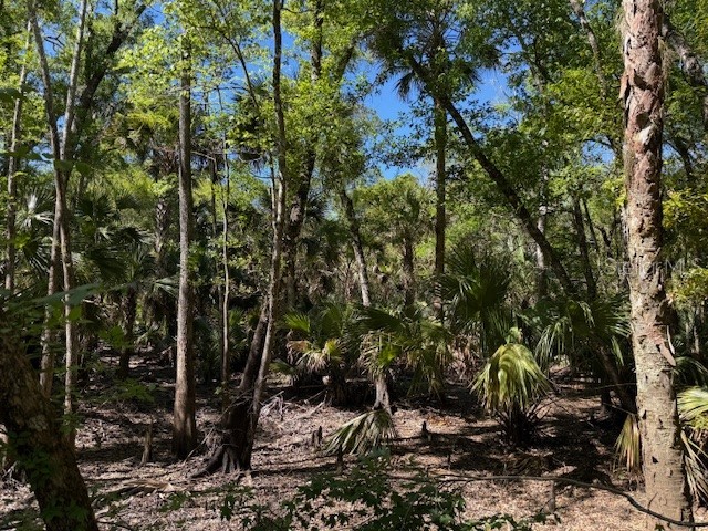 Lake Harney Road Osteen FL 32764 O6291190 image1