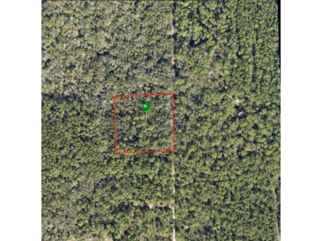Lake Harney Road Osteen FL 32764 O6403842 image1