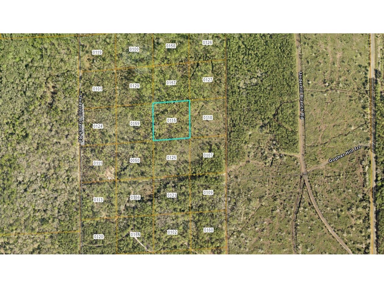 Lake Harney Road Osteen FL 32764 O6408266 image2