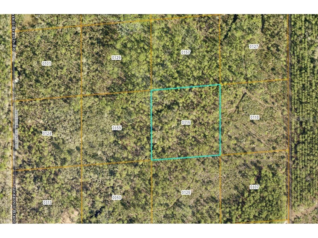 Lake Harney Road Osteen FL 32764 O6408266 image3