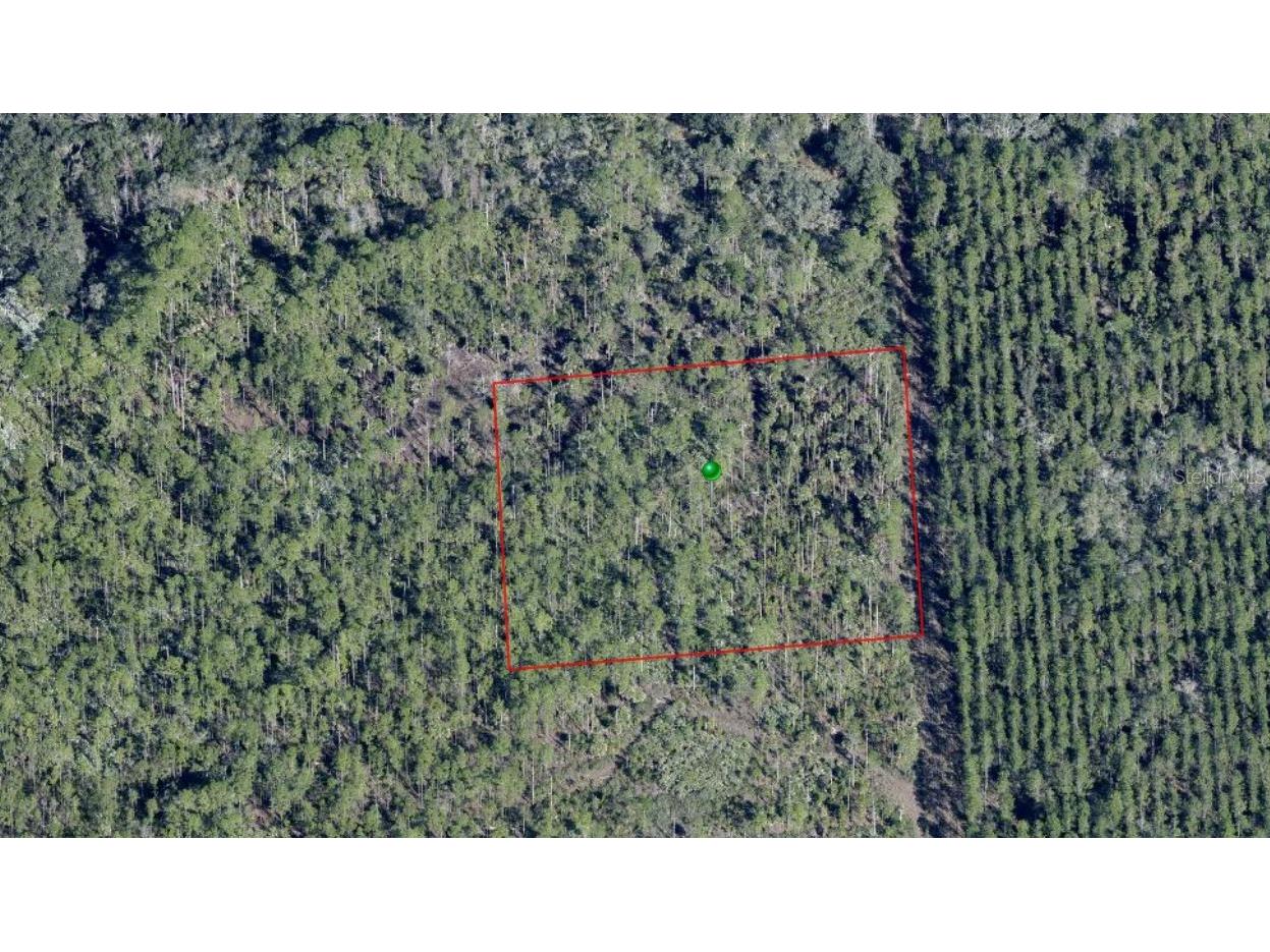 Lake Harney Road Osteen FL 32764 O6408270 image1