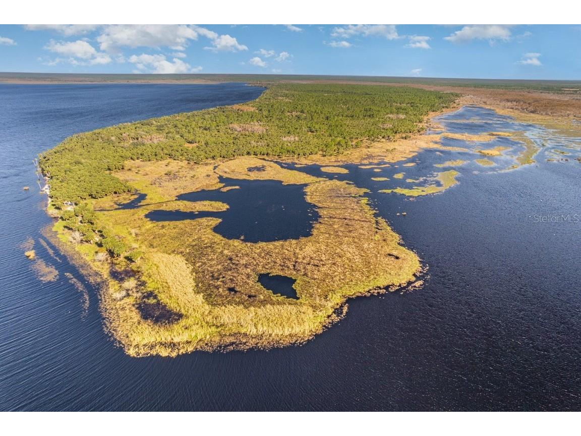 Lake Harney Woods Boulevard Osteen FL 32764 O6253393 image1