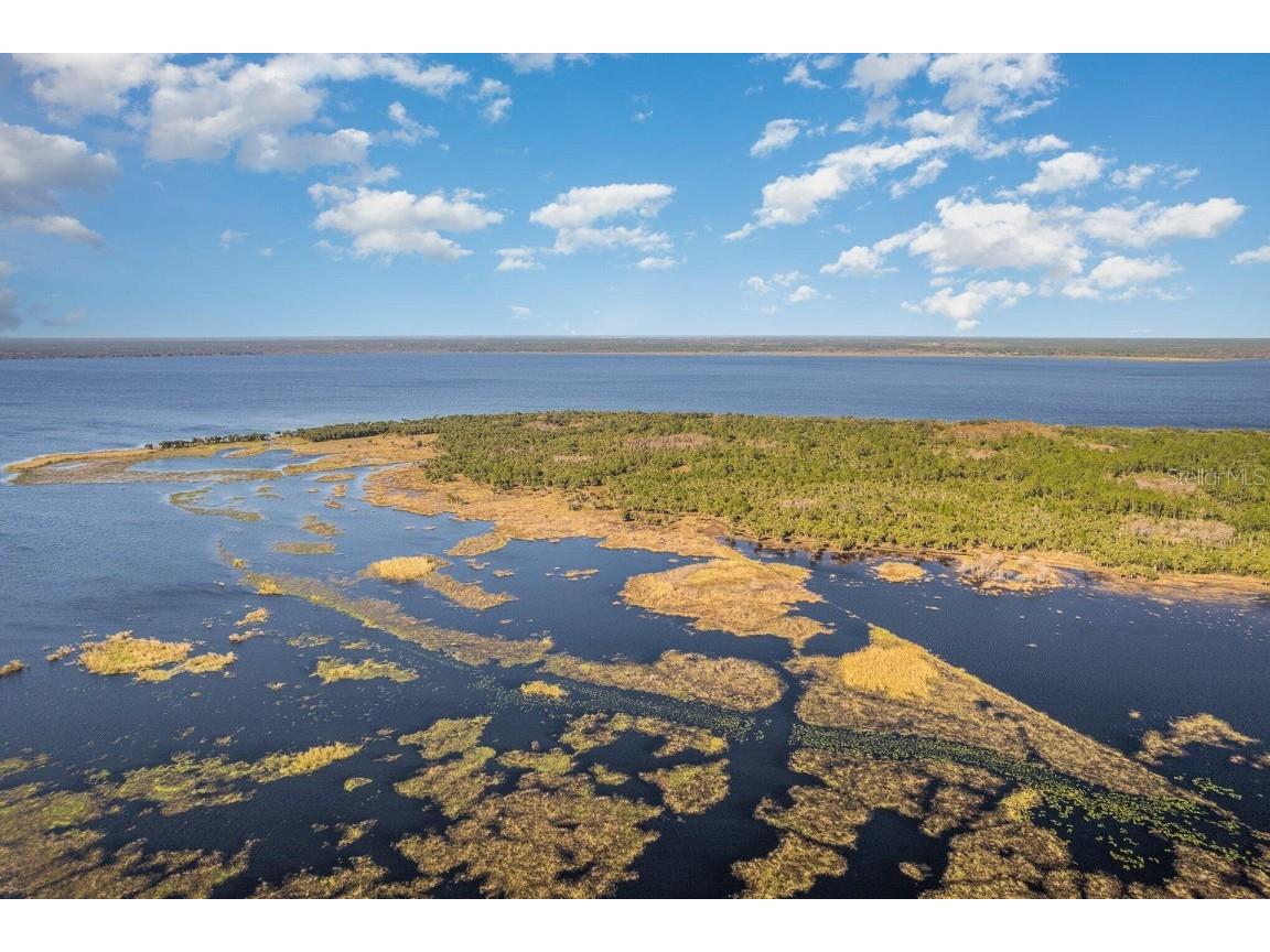 Lake Harney Woods Boulevard Osteen FL 32764 O6253393 image10