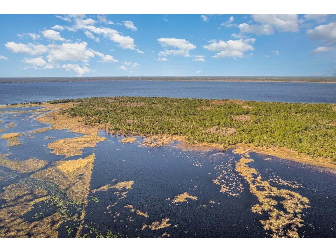 Lake Harney Woods Boulevard Osteen FL 32764 O6253393 image11