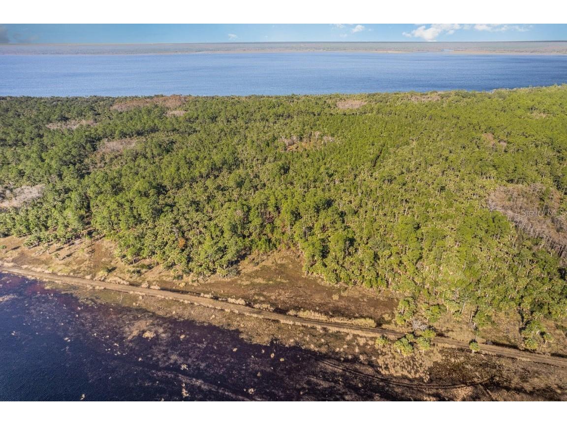 Lake Harney Woods Boulevard Osteen FL 32764 O6253393 image3