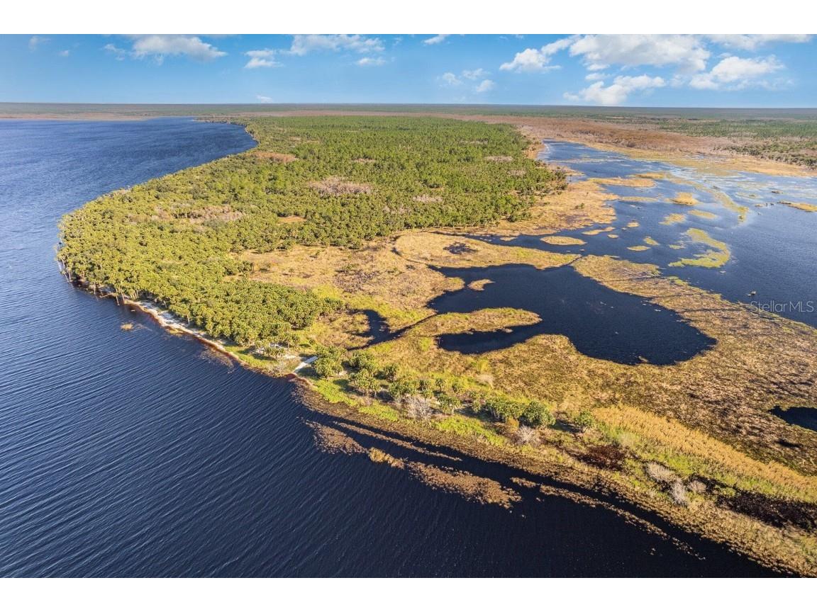 Lake Harney Woods Boulevard Osteen FL 32764 O6253393 image4