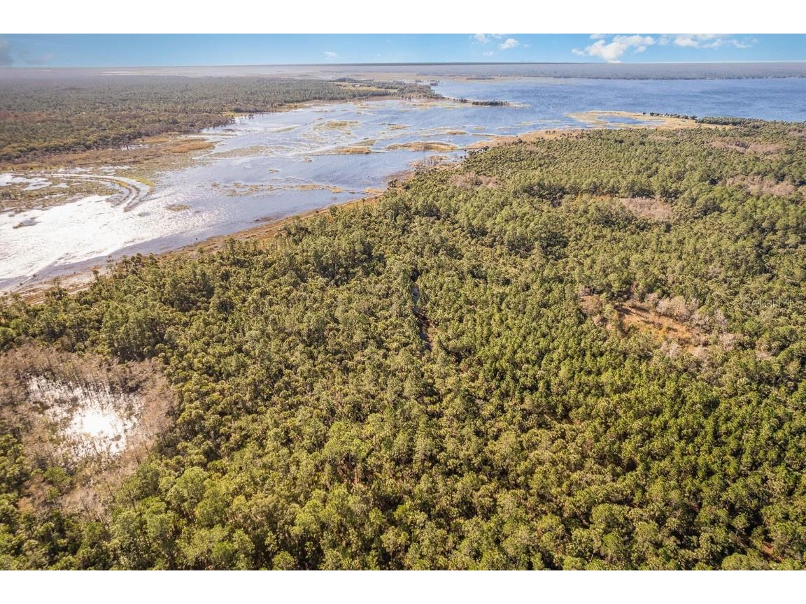 Lake Harney Woods Boulevard Osteen FL 32764 O6253393 image7