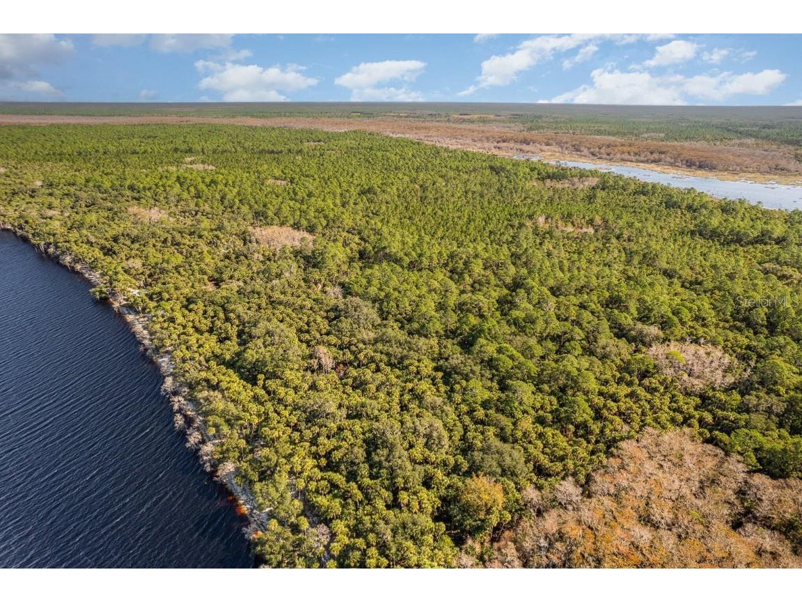 Lake Harney Woods Boulevard Osteen FL 32764 O6253393 image8