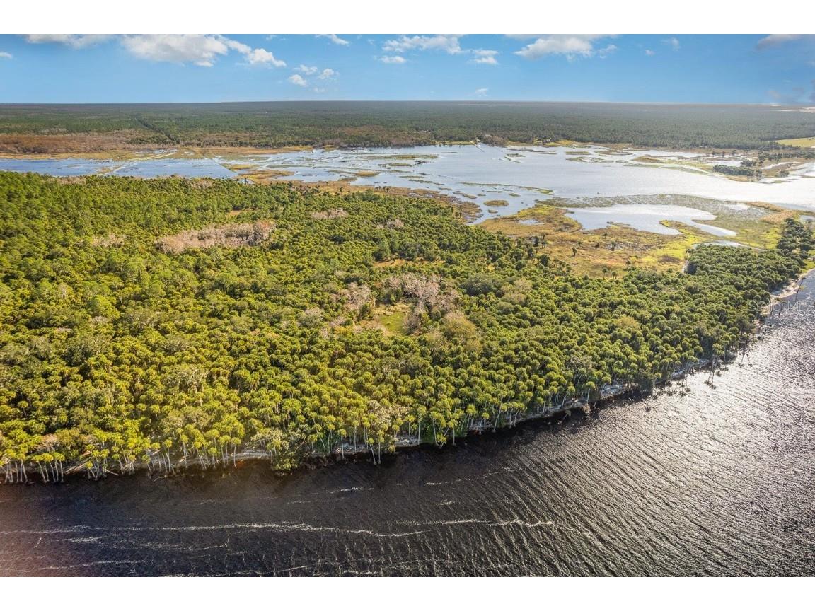 Lake Harney Woods Boulevard Osteen FL 32764 O6253393 image9